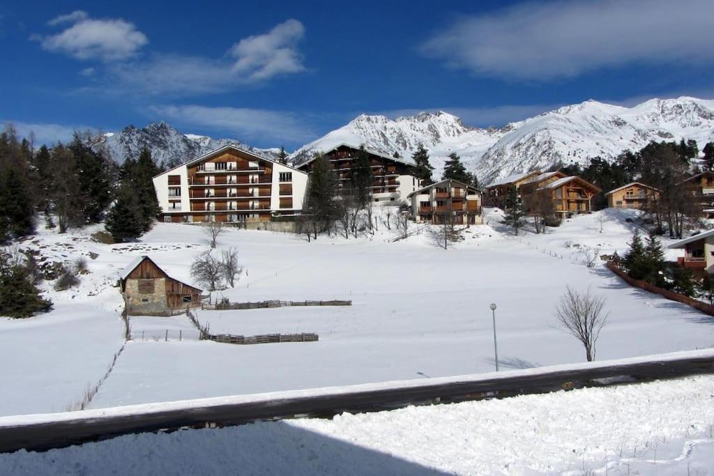 Studio Auron Εξωτερικό φωτογραφία